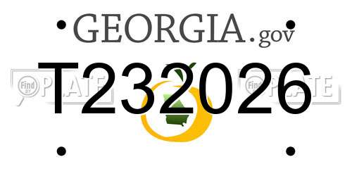 T232026 Georgia License Plate