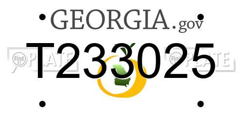 T233025 Georgia License Plate