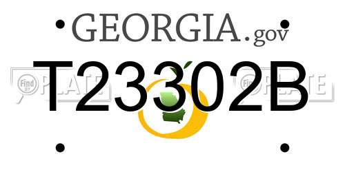 T23302B Georgia License Plate