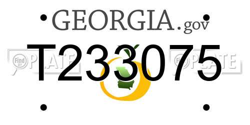 T233075 Georgia License Plate