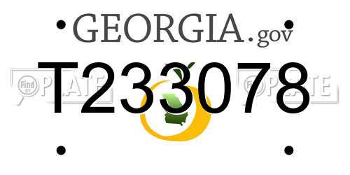 T233078 Georgia License Plate