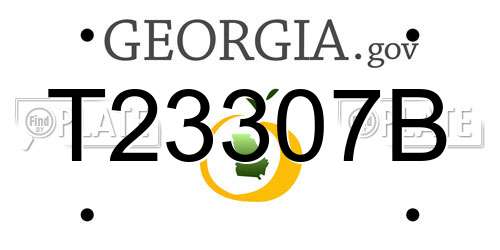 T23307B Georgia License Plate