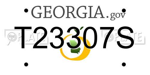 T23307S Georgia License Plate