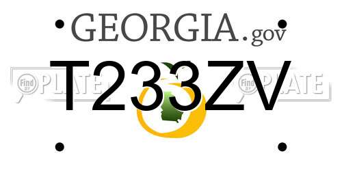 T233ZV Georgia License Plate