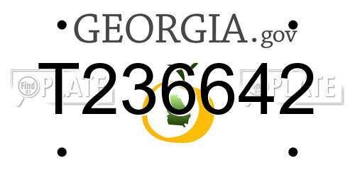 T236642 Georgia License Plate