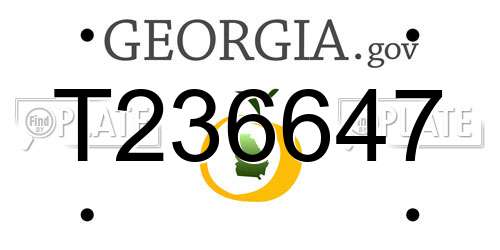 T236647 Georgia License Plate