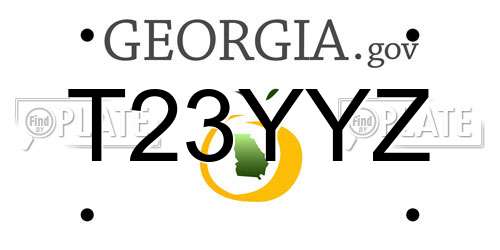 T23YYZ Georgia License Plate