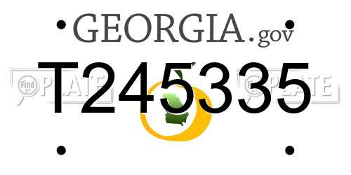 T245335 Georgia License Plate