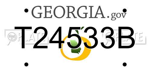 T24533B Georgia License Plate