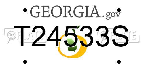 T24533S Georgia License Plate