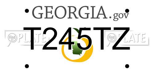 T245TZ Georgia License Plate