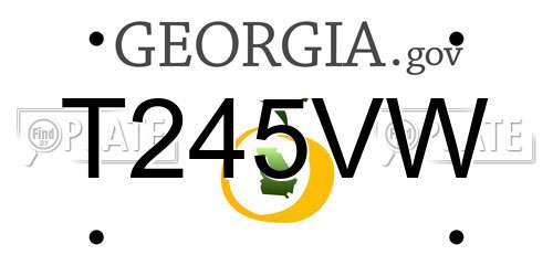 T245VW Georgia License Plate