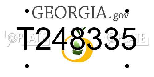 T248335 Georgia License Plate