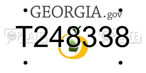 T248338 Georgia License Plate