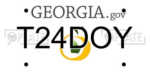 T24DOY Georgia License Plate