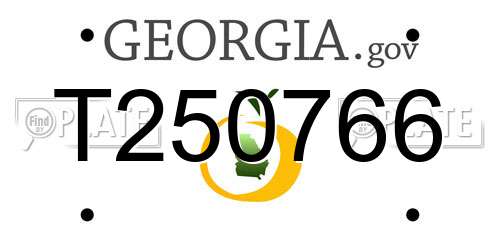 T250766 Georgia License Plate