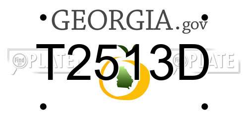 T2513D Georgia License Plate