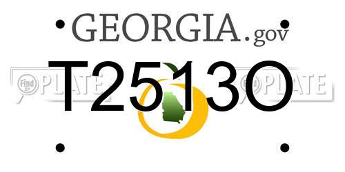 T2513O Georgia License Plate
