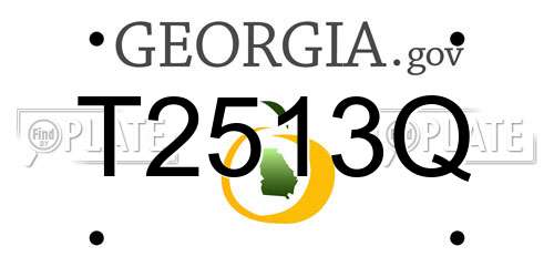 T2513Q Georgia License Plate