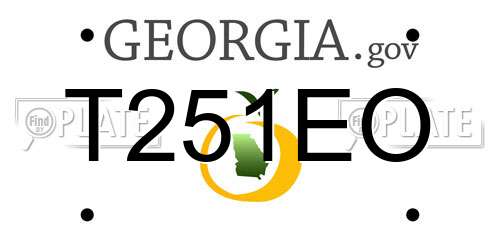 T251EO Georgia License Plate