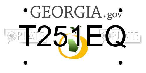 T251EQ Georgia License Plate