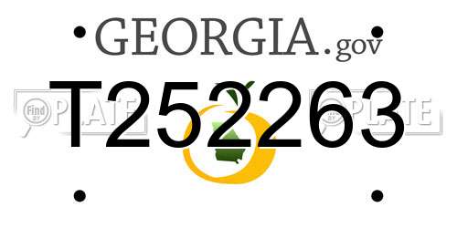 T252263 Georgia License Plate