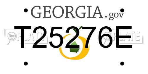 T25276E Georgia License Plate
