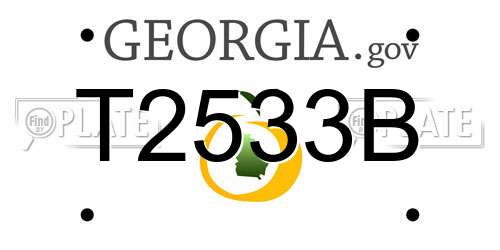 T2533B Georgia License Plate