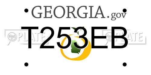 T253EB Georgia License Plate