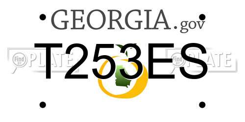 T253ES Georgia License Plate