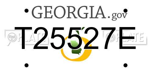 T25527E Georgia License Plate