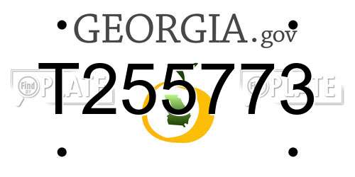 T255773 Georgia License Plate