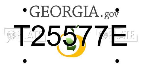 T25577E Georgia License Plate
