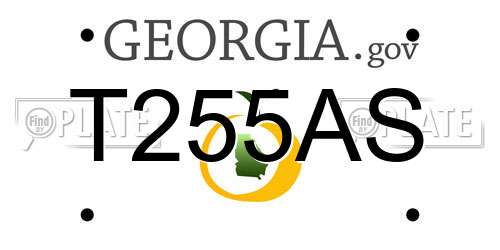 T255AS Georgia License Plate