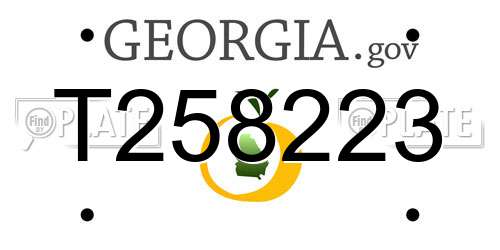 T258223 Georgia License Plate