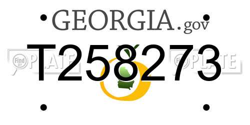 T258273 Georgia License Plate