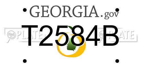 T2584B Georgia License Plate