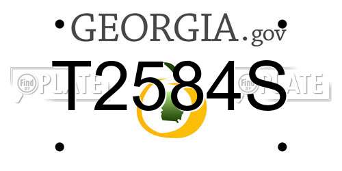 T2584S Georgia License Plate