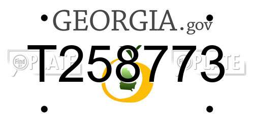 T258773 Georgia License Plate