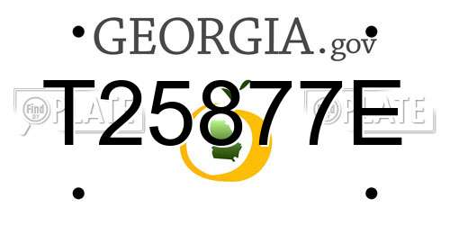 T25877E Georgia License Plate