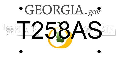 T258AS Georgia License Plate