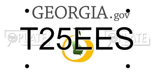 T25EES Georgia License Plate