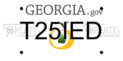 T25IED Georgia License Plate