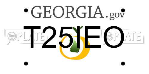 T25IEO Georgia License Plate
