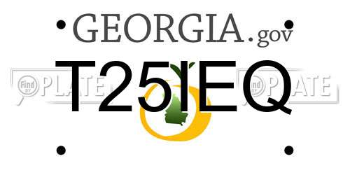 T25IEQ Georgia License Plate