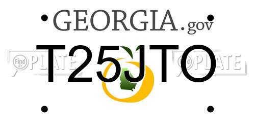 T25JTO Georgia License Plate