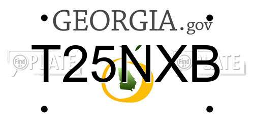 T25NXB Georgia License Plate