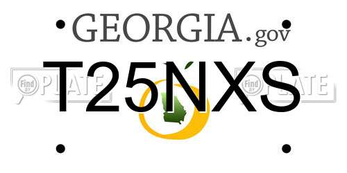 T25NXS Georgia License Plate
