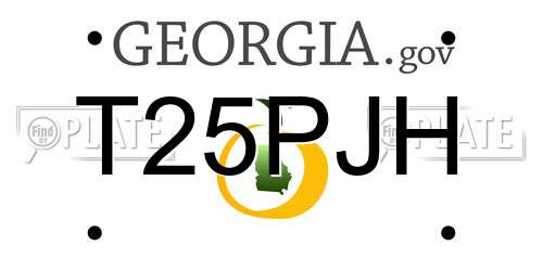 T25PJH Georgia License Plate