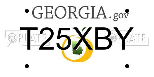 T25XBY Georgia License Plate